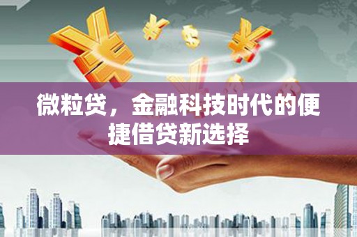 普湾新区微粒贷，金融科技时代的便捷借贷新选择