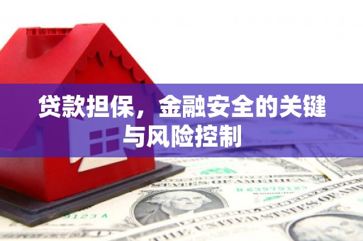 普湾新区贷款担保，金融安全的关键与风险控制