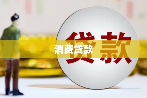 普湾新区消费贷款