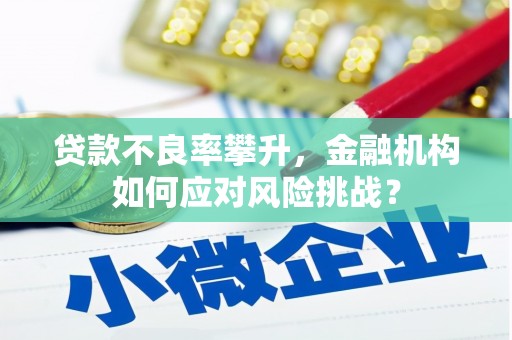 普湾新区贷款不良率攀升，金融机构如何应对风险挑战？
