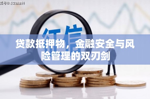 普湾新区贷款抵押物，金融安全与风险管理的双刃剑