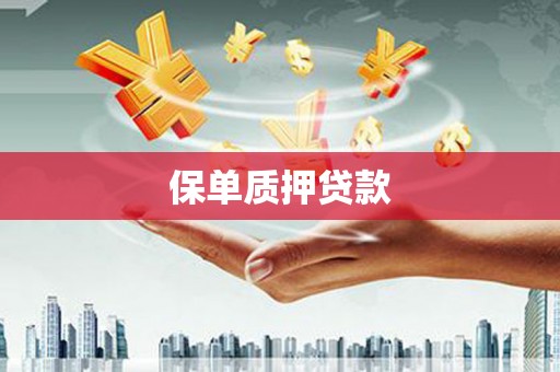 普湾新区保单质押贷款