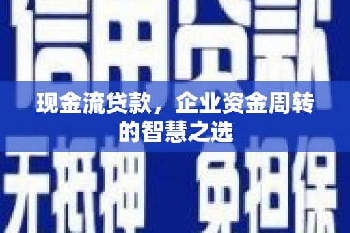 普湾新区现金流贷款，企业资金周转的智慧之选