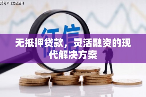 普湾新区无抵押贷款，灵活融资的现代解决方案