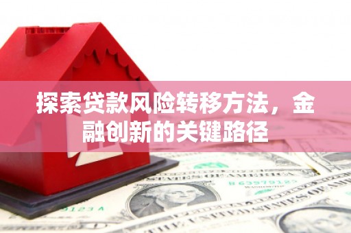 普湾新区探索贷款风险转移方法，金融创新的关键路径