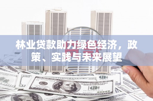 普湾新区林业贷款助力绿色经济，政策、实践与未来展望