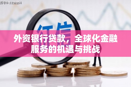 普湾新区外资银行贷款，全球化金融服务的机遇与挑战