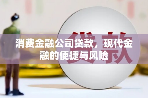 普湾新区消费金融公司贷款，现代金融的便捷与风险