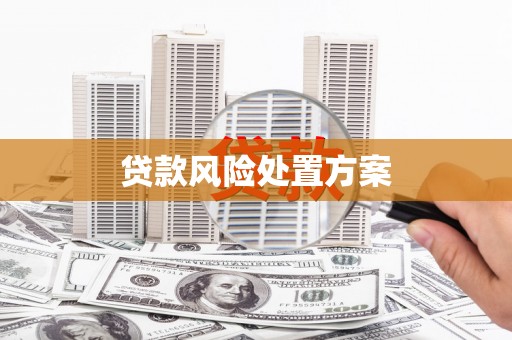 普湾新区贷款风险处置方案
