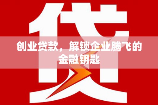 普湾新区创业贷款，解锁企业腾飞的金融钥匙