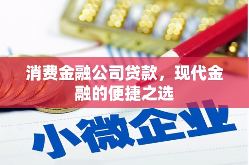 普湾新区消费金融公司贷款，现代金融的便捷之选