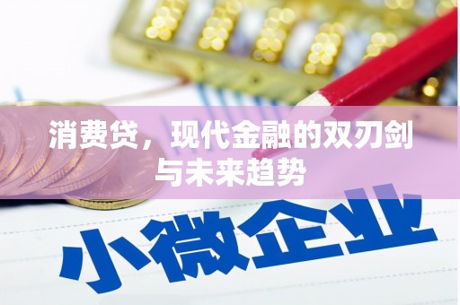 普湾新区消费贷，现代金融的双刃剑与未来趋势