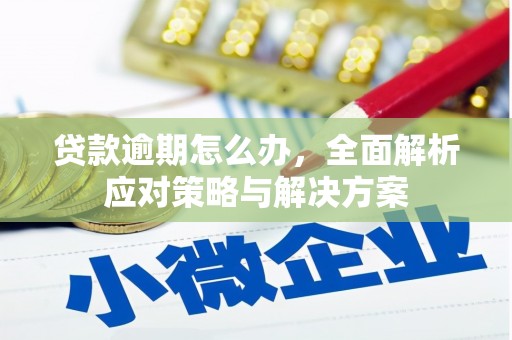 普湾新区贷款逾期怎么办，全面解析应对策略与解决方案