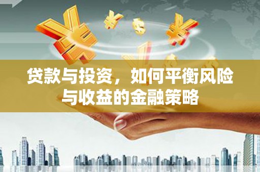 普湾新区贷款与投资，如何平衡风险与收益的金融策略