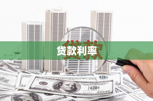 普湾新区贷款利率