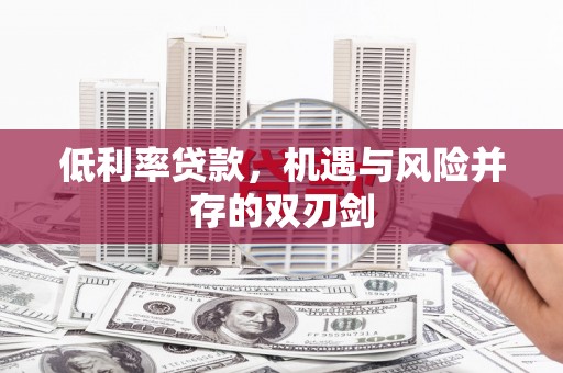 普湾新区低利率贷款，机遇与风险并存的双刃剑
