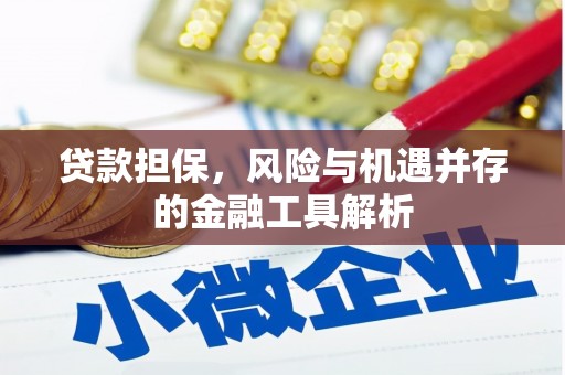 普湾新区贷款担保，风险与机遇并存的金融工具解析