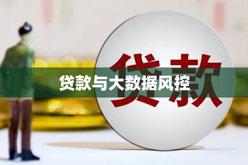 普湾新区贷款与大数据风控