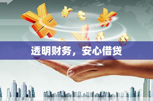 普湾新区透明财务，安心借贷
