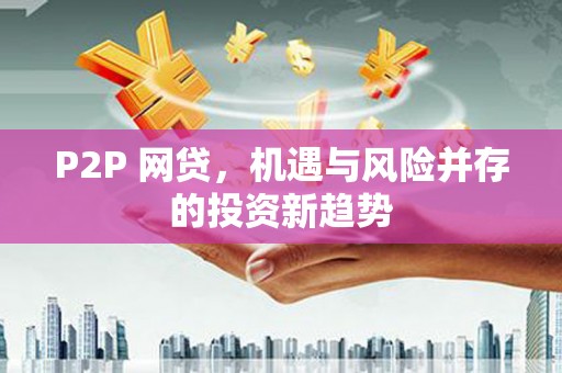普湾新区P2P 网贷，机遇与风险并存的投资新趋势