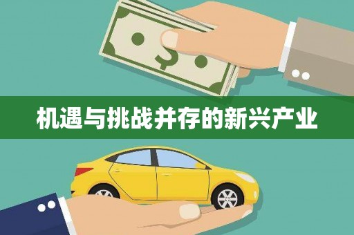 普湾新区机遇与挑战并存的新兴产业