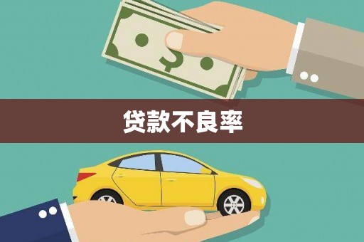 普湾新区贷款不良率