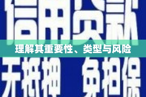 普湾新区理解其重要性、类型与风险