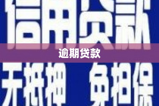 普湾新区逾期贷款