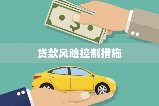 普湾新区贷款风险控制措施