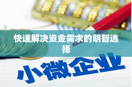 普湾新区快速解决资金需求的明智选择