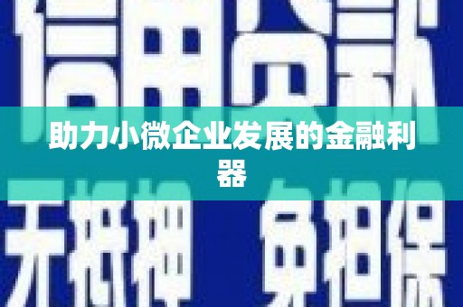 普湾新区助力小微企业发展的金融利器
