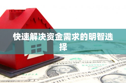 普湾新区快速解决资金需求的明智选择