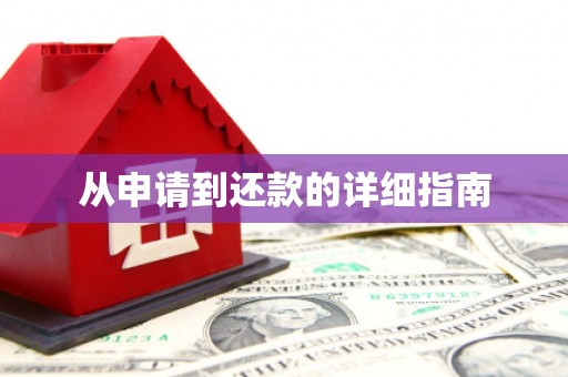 普湾新区从申请到还款的详细指南