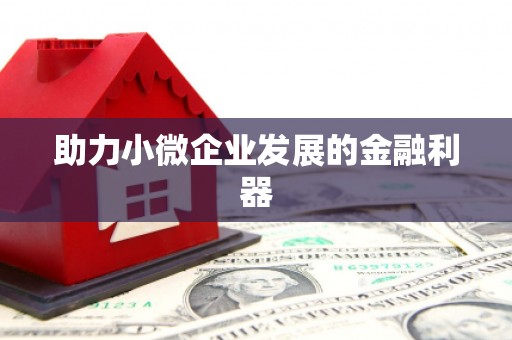 普湾新区助力小微企业发展的金融利器