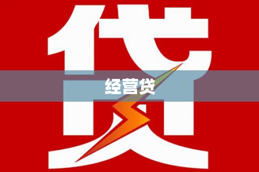 普湾新区经营贷