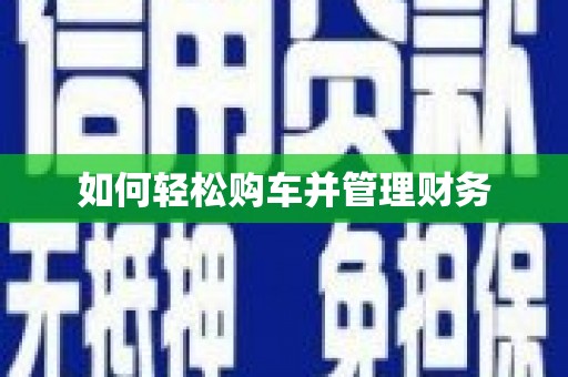 普湾新区如何轻松购车并管理财务