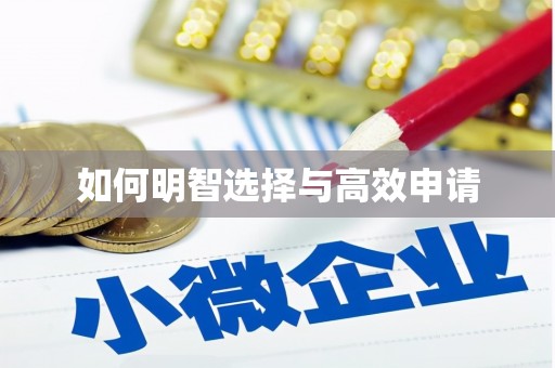 普湾新区如何明智选择与高效申请