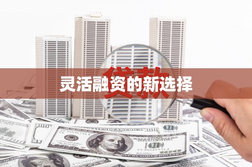 普湾新区灵活融资的新选择