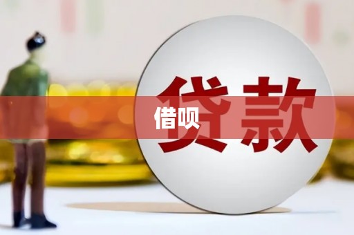 普湾新区借呗