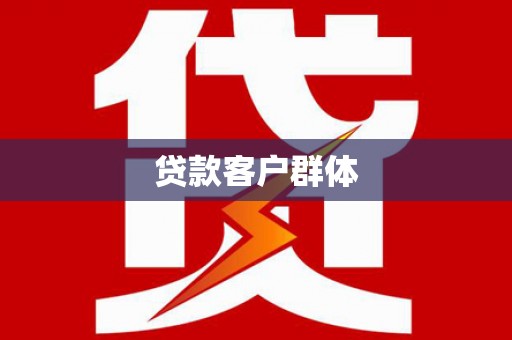 普湾新区贷款客户群体