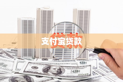 普湾新区支付宝贷款
