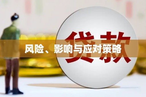 普湾新区风险、影响与应对策略