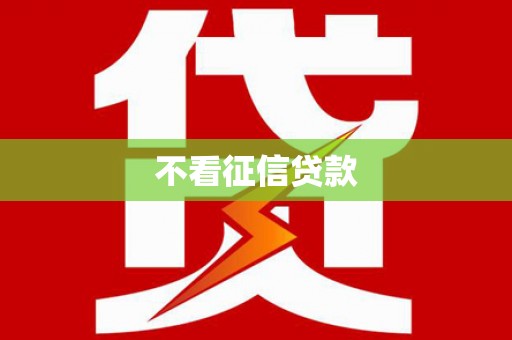 普湾新区不看征信贷款