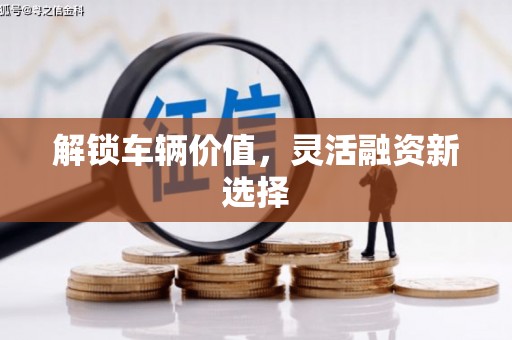 普湾新区解锁车辆价值，灵活融资新选择