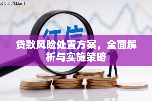 普湾新区贷款风险处置方案，全面解析与实施策略