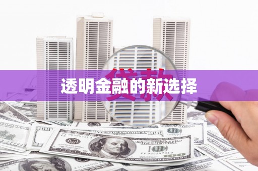 普湾新区透明金融的新选择