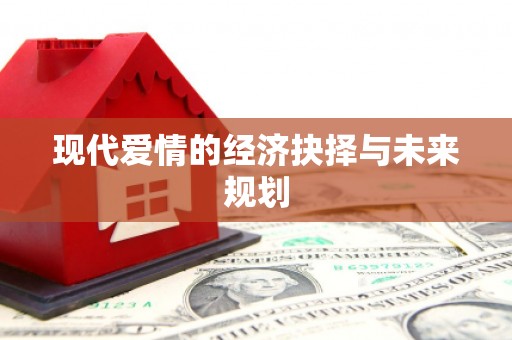 普湾新区现代爱情的经济抉择与未来规划