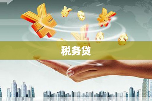 普湾新区税务贷