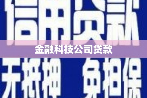 普湾新区金融科技公司贷款