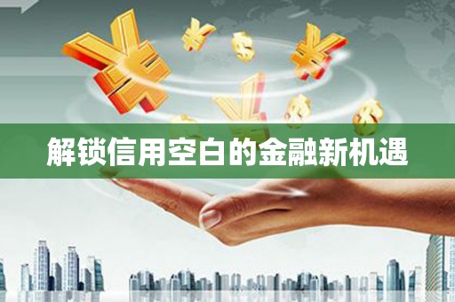 普湾新区解锁信用空白的金融新机遇